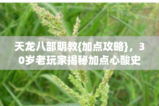 天龙八部明教{加点攻略},30岁老玩家揭秘加点心酸史 天龙八部明教{加点攻略},30岁老玩家揭秘加点心酸史