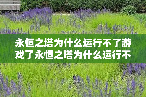 永恒之塔为什么运行不了游戏了永恒之塔为什么运行不了游戏图片