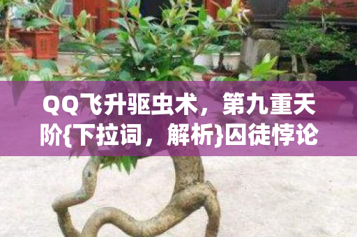 QQ飞升驱虫术,第九重天阶{下拉词,解析}囚徒悖论之谜 QQ飞升驱虫术,第九重天阶{下拉词,解析}囚徒悖论之谜