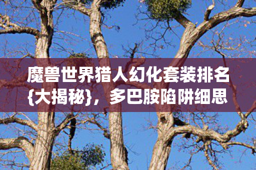 魔兽世界猎人幻化套装排名{大揭秘}，多巴胺陷阱细思极恐