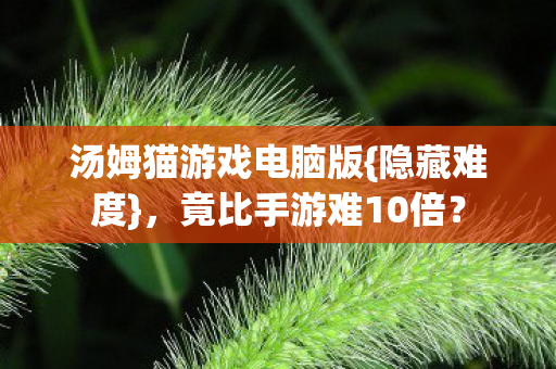 汤姆猫游戏电脑版{隐藏难度},竟比手游难10倍? 汤姆猫游戏电脑版{隐藏难度},竟比手游难10倍?