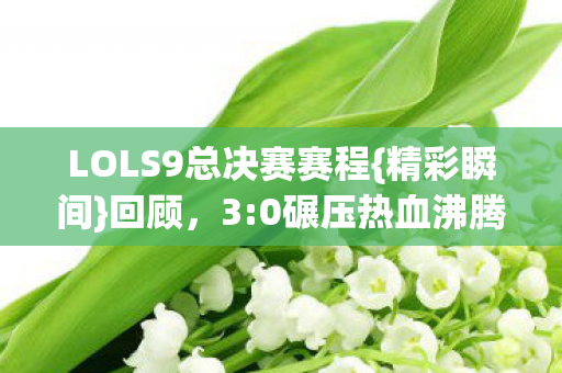 LOLS9总决赛赛程图片