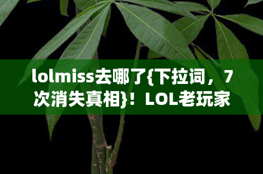 lolmiss去哪了图片