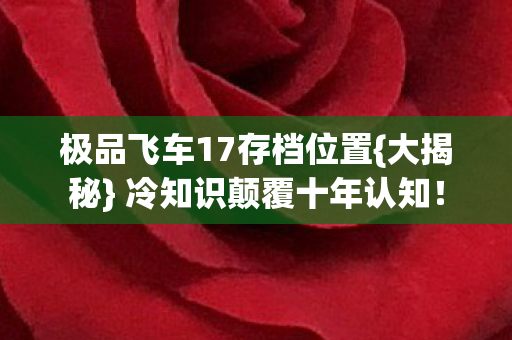 极品飞车17存档位置图片