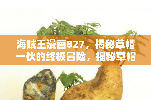 揭秘草帽一伙的终极冒险图片