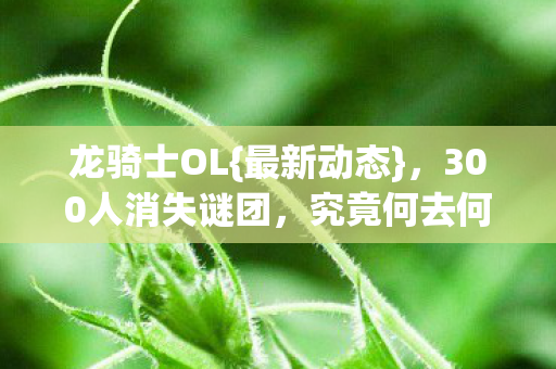 龙骑士OL{最新动态},300人消失谜团,究竟何去何从? 龙骑士OL{最新动态},300人消失谜团,究竟何去何从?