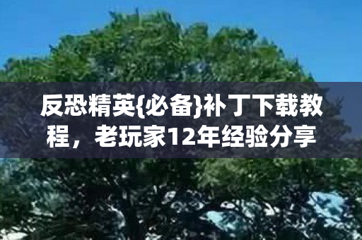 反恐精英{必备}补丁下载教程,老玩家12年经验分享! 反恐精英{必备}补丁下载教程,老玩家12年经验分享!