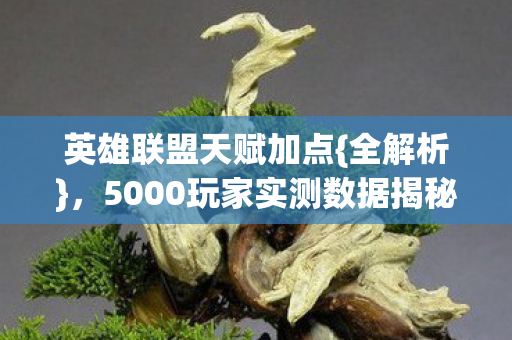 5000玩家实测数据揭秘图片