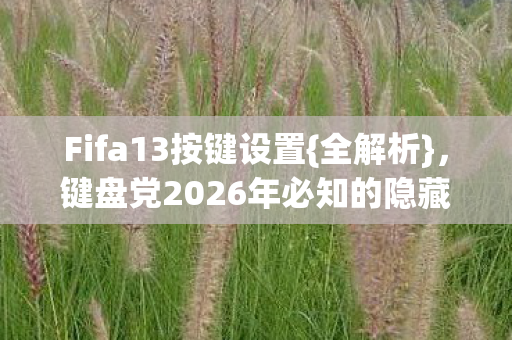 Fifa13按键设置{全解析},键盘党2026年必知的隐藏玄机 Fifa13按键设置{全解析},键盘党2026年必知的隐藏玄机