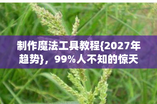 制作魔法工具教程{2027年趋势},99%人不知的惊天秘密 制作魔法工具教程{2027年趋势},99%人不知的惊天秘密