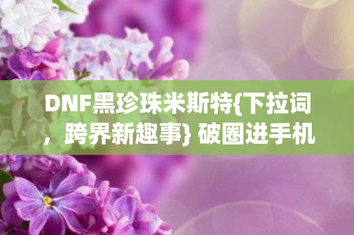 DNF黑珍珠米斯特{下拉词,跨界新趣事} 破圈进手机壳? DNF黑珍珠米斯特{下拉词,跨界新趣事} 破圈进手机壳?