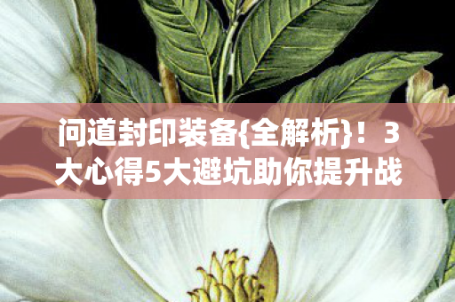 问道封印装备{全解析}!3大心得5大避坑助你提升战力 问道封印装备{全解析}!3大心得5大避坑助你提升战力
