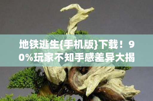 地铁逃生{手机版}下载!90%玩家不知手感差异大揭秘 地铁逃生{手机版}下载!90%玩家不知手感差异大揭秘