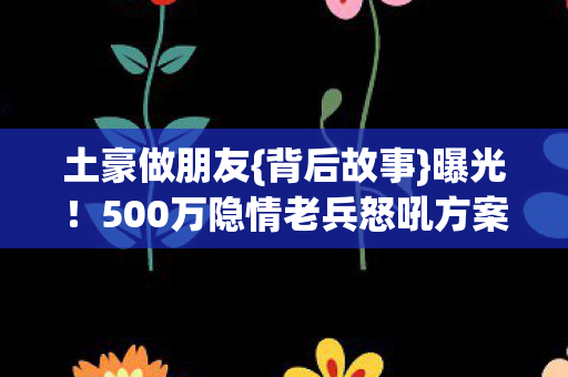 500万隐情老兵怒吼方案惊人图片