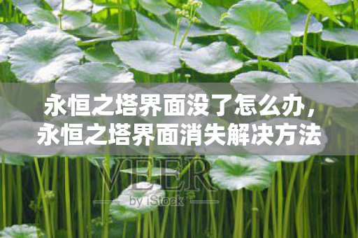 永恒之塔界面消失解决方法图片