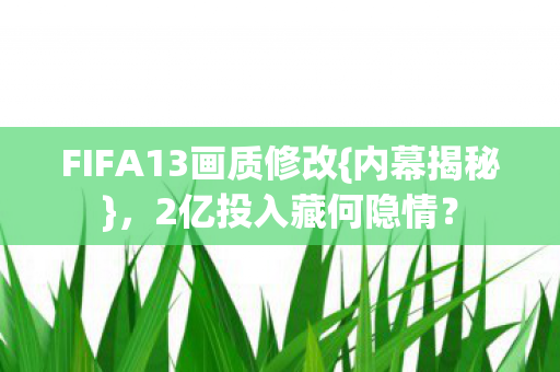 FIFA13画质修改图片