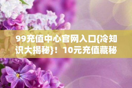 99充值中心官网入口图片