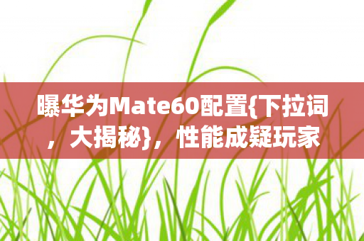 曝华为Mate60配置图片