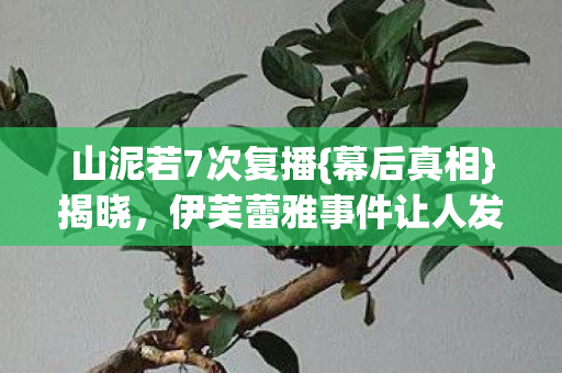 伊芙蕾雅事件让人发凉图片