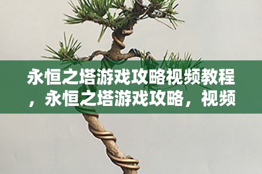 永恒之塔游戏攻略视频教程图片