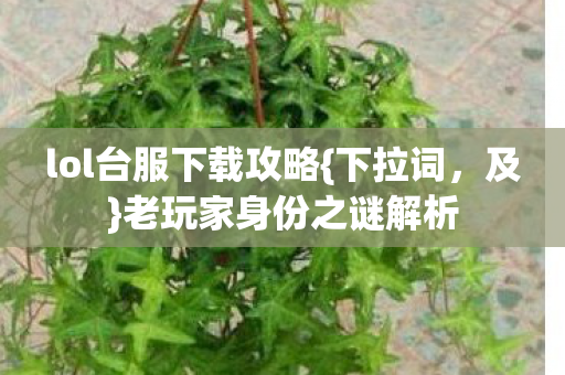 lol台服下载攻略图片