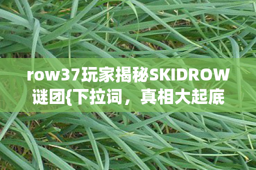 row37玩家揭秘SKIDROW谜团图片