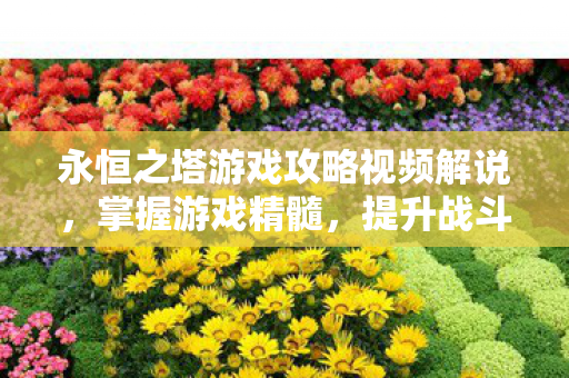 永恒之塔游戏攻略视频解说图片