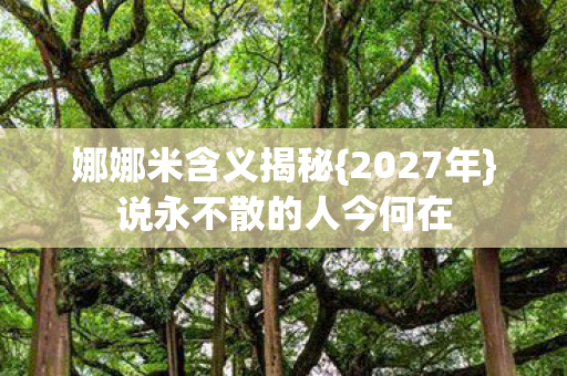 娜娜米含义揭秘{2027年}说永不散的人今何在