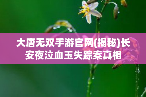 大唐无双手游官网{揭秘}长安夜泣血玉失踪案真相