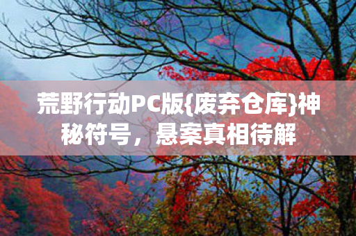 荒野行动PC版{废弃仓库}神秘符号,悬案真相待解 荒野行动PC版{废弃仓库}神秘符号,悬案真相待解