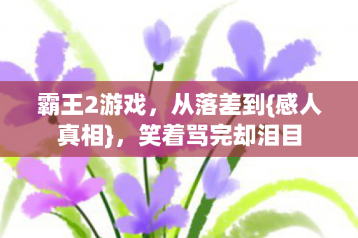 霸王2游戏，从落差到{感人真相}，笑着骂完却泪目