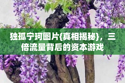 独孤宁珂图片{真相揭秘},三倍流量背后的资本游戏 独孤宁珂图片{真相揭秘},三倍流量背后的资本游戏