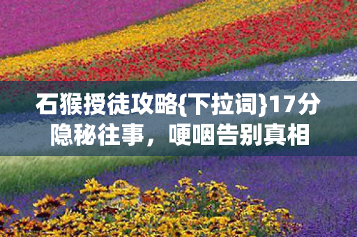 17分隐秘往事图片
