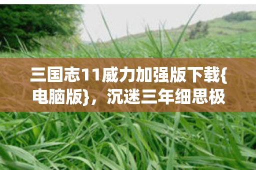 三国志11威力加强版下载{电脑版},沉迷三年细思极恐 三国志11威力加强版下载{电脑版},沉迷三年细思极恐