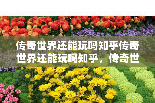 传奇世界还能玩吗知乎传奇世界还能玩吗知乎图片