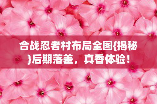 合战忍者村布局全图图片