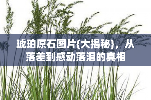 琥珀原石图片{大揭秘},从落差到感动落泪的真相 琥珀原石图片{大揭秘},从落差到感动落泪的真相