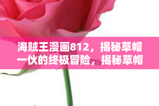揭秘草帽一伙的终极冒险图片