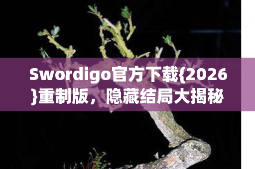 Swordigo官方下载{2026}重制版,隐藏结局大揭秘! Swordigo官方下载{2026}重制版,隐藏结局大揭秘!