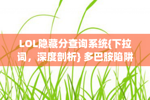 LOL隐藏分查询系统图片