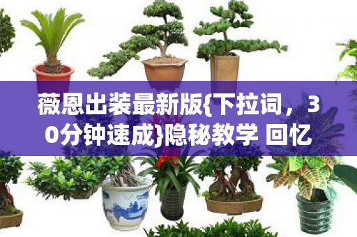 隐秘教学 回忆通宵时光图片
