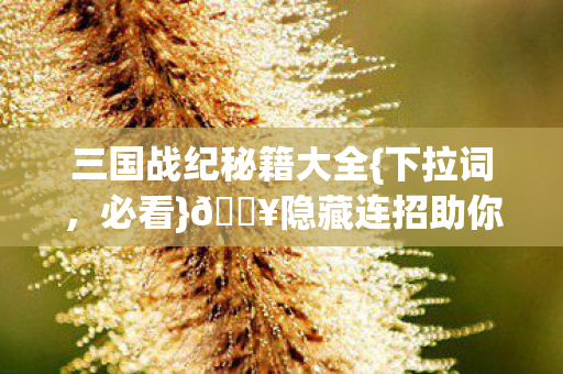 隐藏连招助你通关效率飙升图片