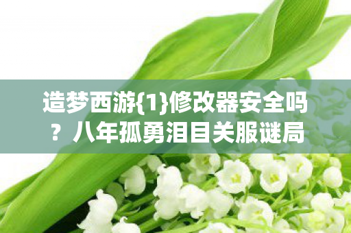 造梦西游{1}修改器安全吗?八年孤勇泪目关服谜局 造梦西游{1}修改器安全吗?八年孤勇泪目关服谜局