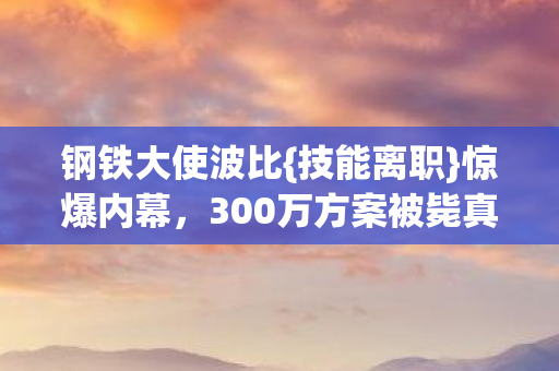 300万方案被毙真相图片