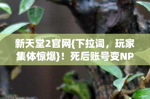 死后账号变NPC数据永生图片