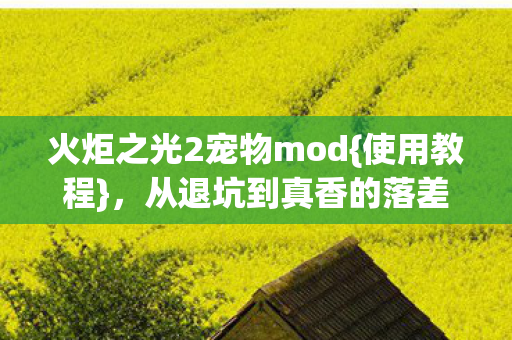火炬之光2宠物mod{使用教程}，从退坑到真香的落差真相
