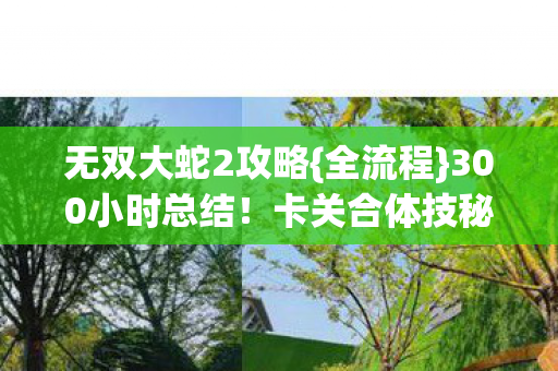 无双大蛇2攻略{全流程}300小时总结!卡关合体技秘密 无双大蛇2攻略{全流程}300小时总结!卡关合体技秘密