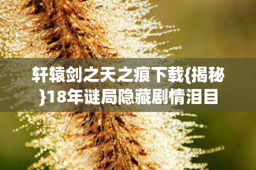 轩辕剑之天之痕下载{揭秘}18年谜局隐藏剧情泪目 轩辕剑之天之痕下载{揭秘}18年谜局隐藏剧情泪目