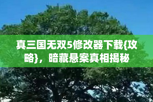 真三国无双5修改器下载{攻略}，暗藏悬案真相揭秘