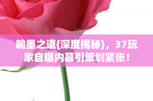 翰墨之道{深度揭秘}，37玩家自曝内幕引策划紧张！